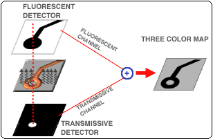 AOI defect examples 1